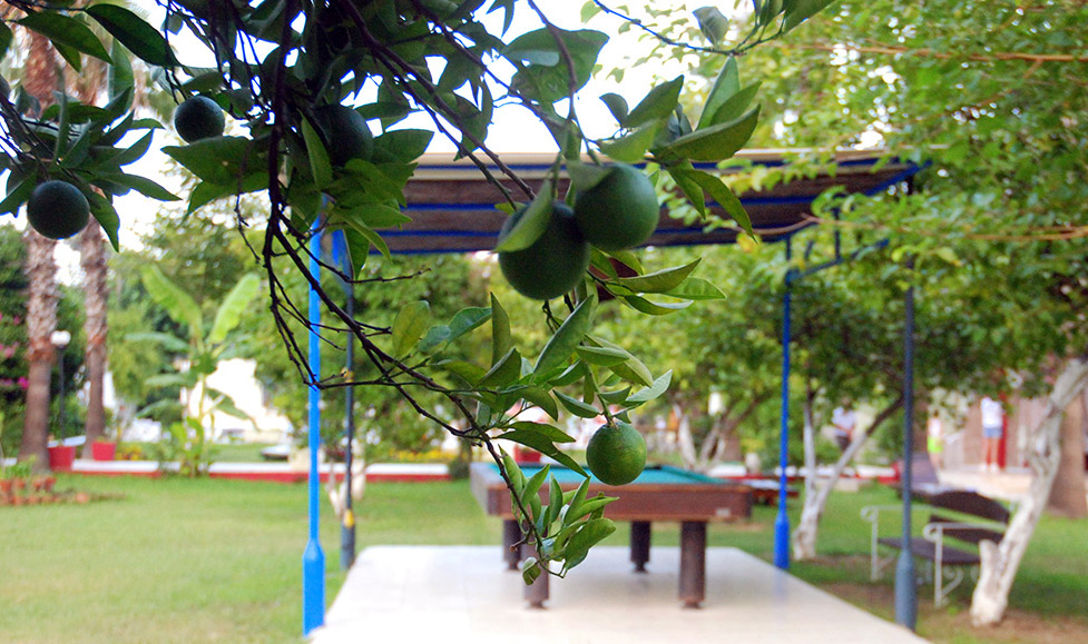 Tal Hotel